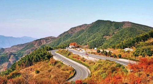 馳騁浙里，挑戰自我 浙江三條絕美盤山公路與鐵路隔離柵的守護